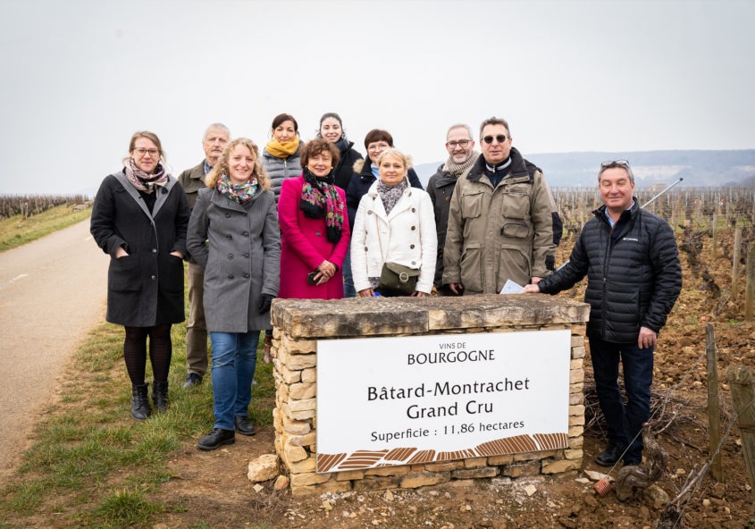 Balade dans les grands crus